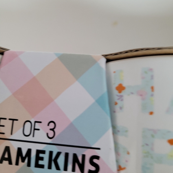 Signature Stoneware ramikens set of 3 Spring themed -pastel print..New in Box - Picture 3 of 6